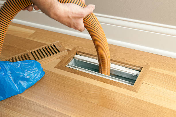 Best Affordable Air Duct Cleaning  in Kearny, AZ