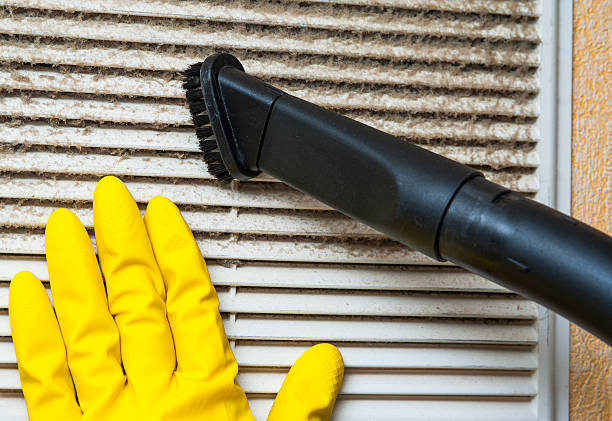 Best Affordable Duct Cleaning Services  in Kearny, AZ