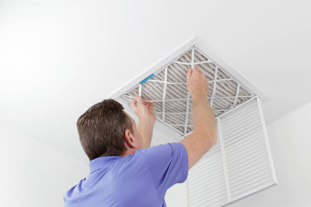 Best Local Air Duct Cleaning Services  in Kearny, AZ